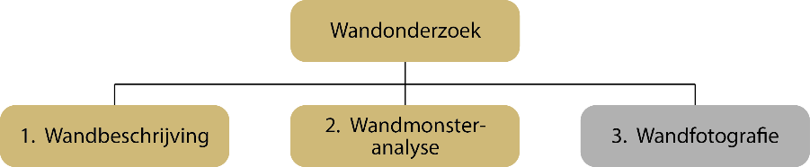 Scopewandonderzoek